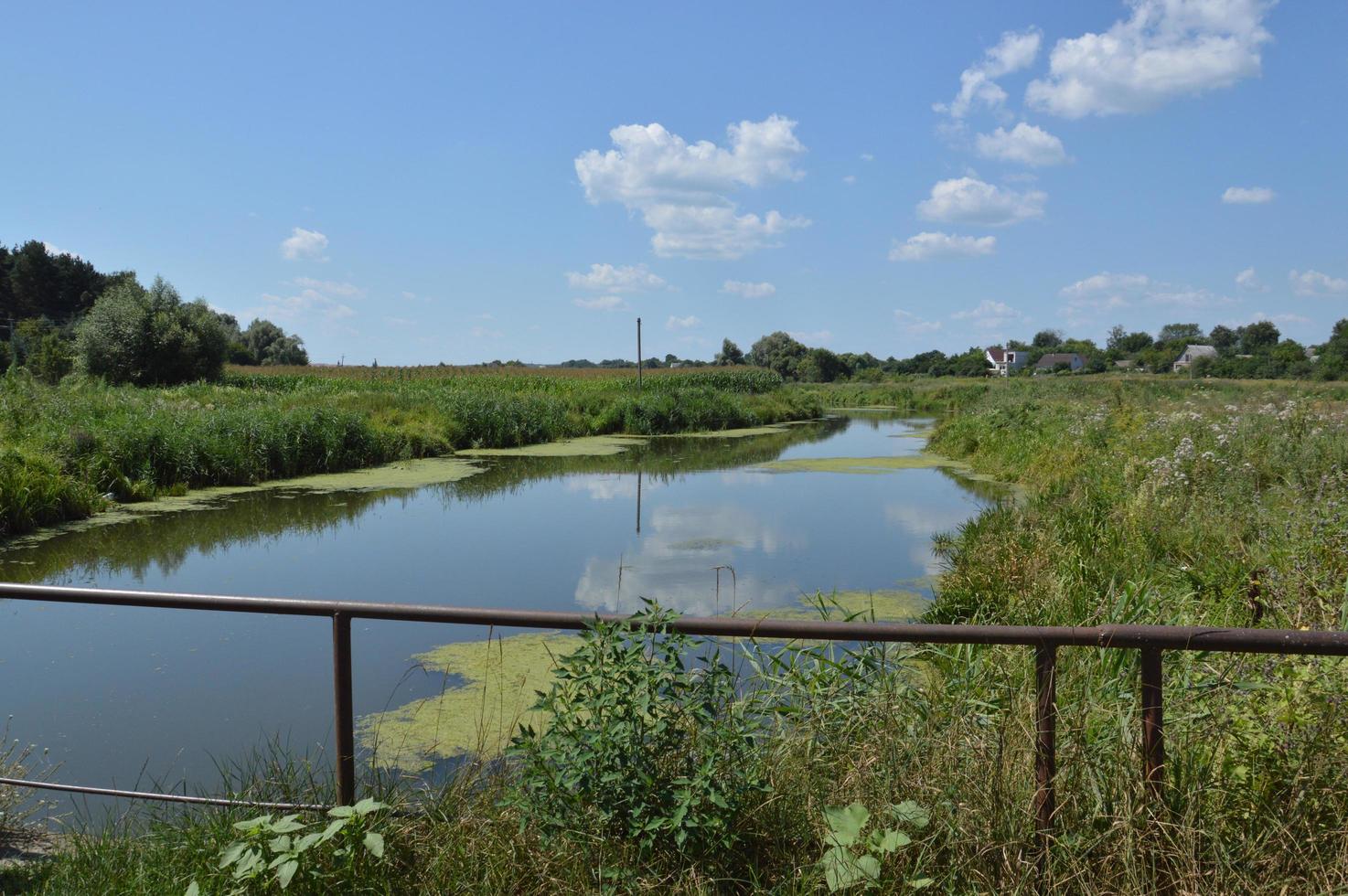 een kleine rivier stroomt overwoekerd met riet en geblokkeerd door een dam foto