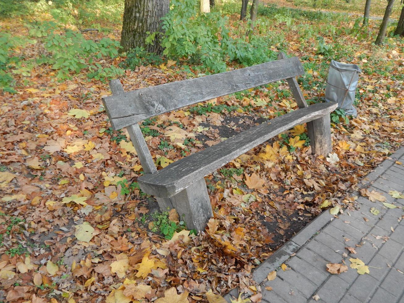 landschapstuin in parkkunst foto