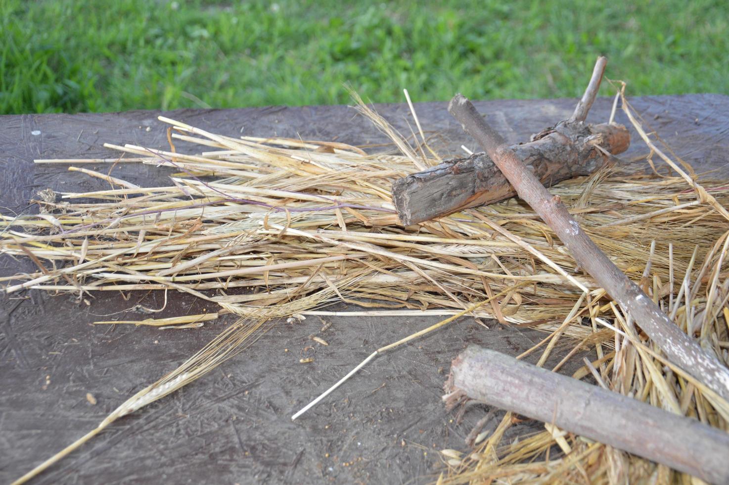 collectie droge groenbemesters voor komend seizoen in de tuin foto