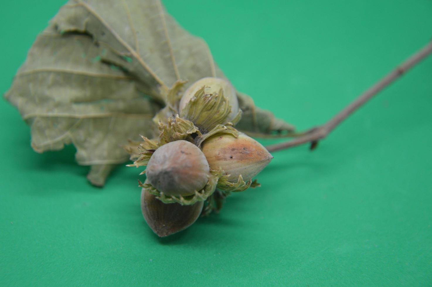 macrofotografie van objecten op een groene achtergrond foto