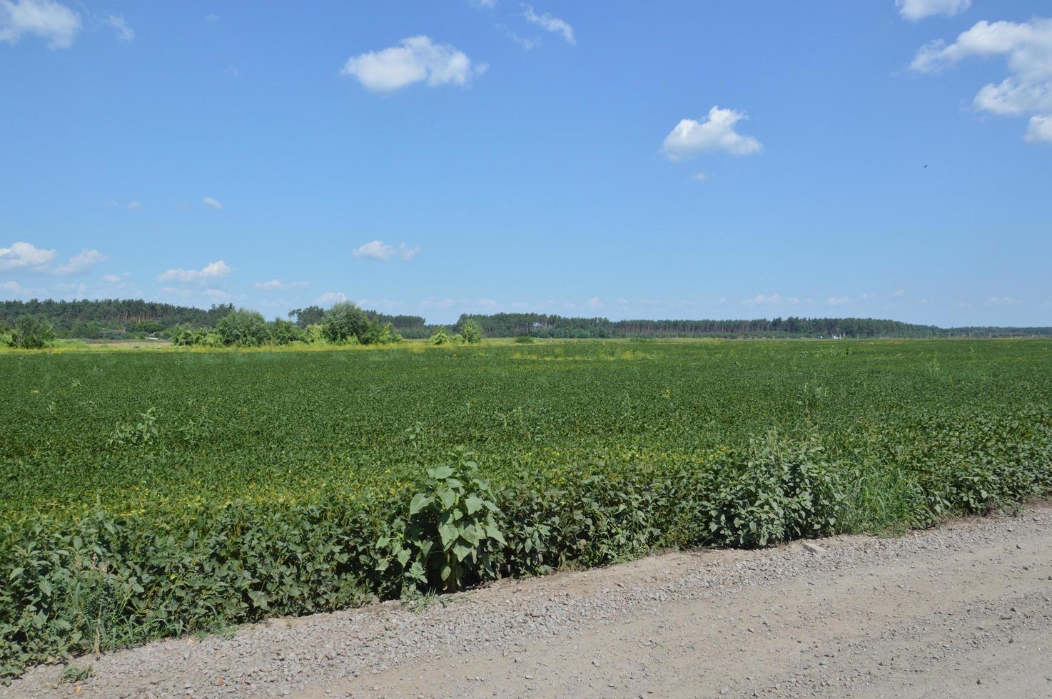 panorama van landschapsvelden en wegen in het dorp foto