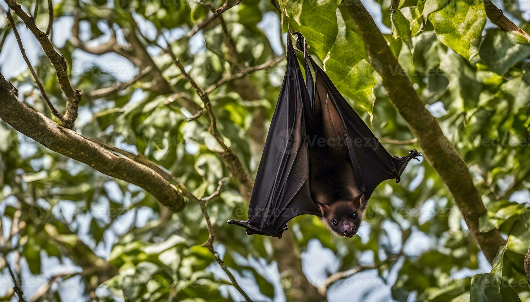 ai gegenereerd een knuppel hangende ondersteboven naar beneden van een boom Afdeling foto