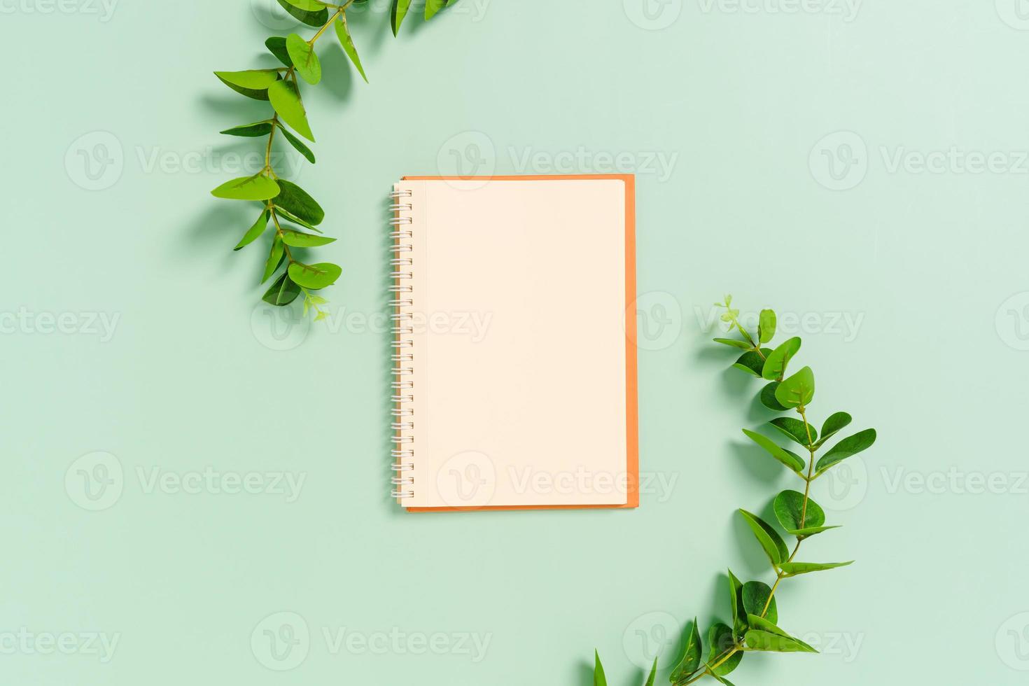 creatieve platliggende foto van een werkruimtebureau. bovenaanzicht bureau met open mockup lege notebooks en plant op pastel groene kleur achtergrond. bovenaanzicht met mock-up kopie ruimtefotografie.