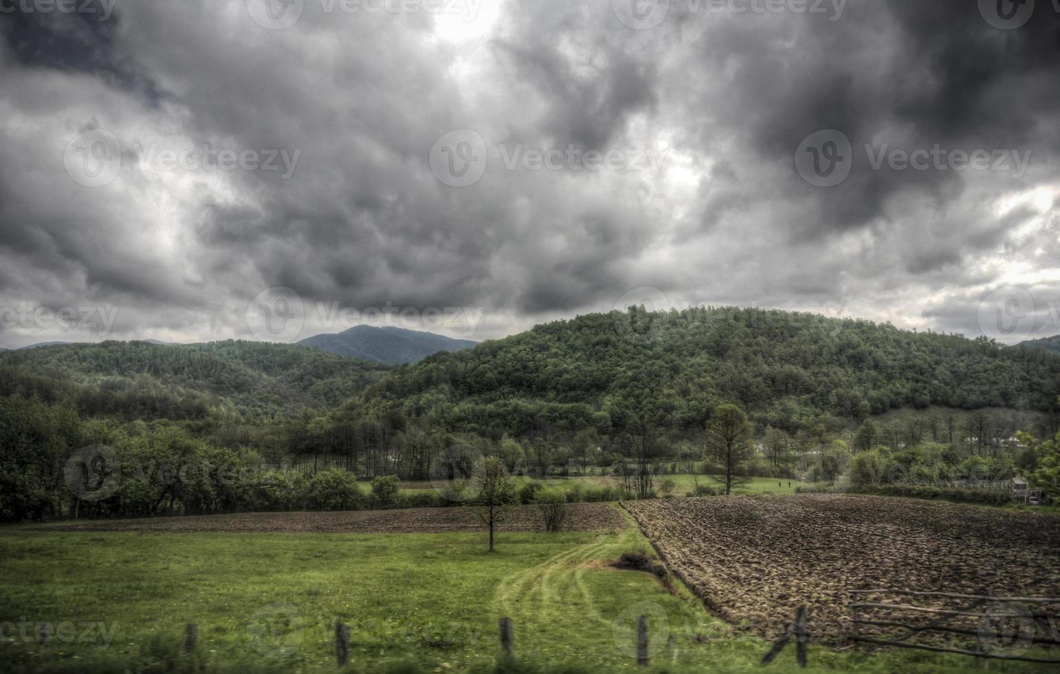 bewolkte dag op de berg rudnik in servië foto