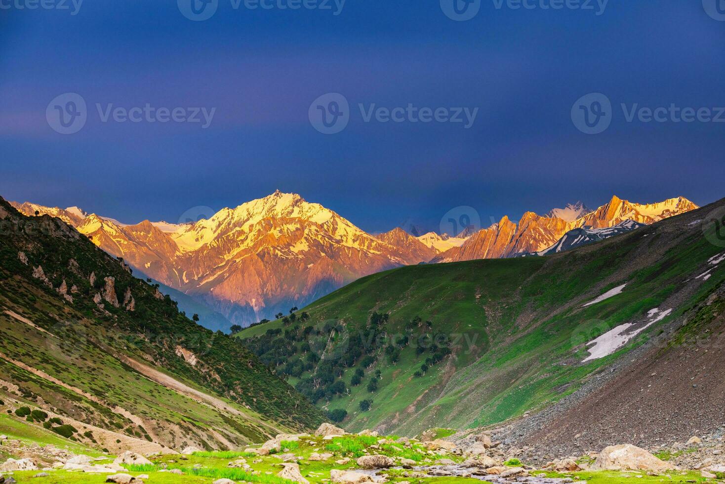landschap in de bergen. panoramisch visie van de top van Sonmarg, Kasjmir vallei in de himalayan regio. weiden, alpine bomen, wilde bloemen en sneeuw Aan berg in Indië. concept reizen natuur. foto