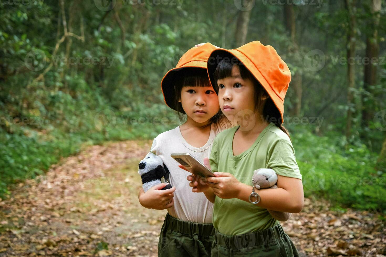 de zussen gebruik de kaart Aan hun smartphones en genieten wandelen samen. familie Aan een wandelen avontuur door de Woud. familie uitgeven tijd samen Aan vakantie. foto