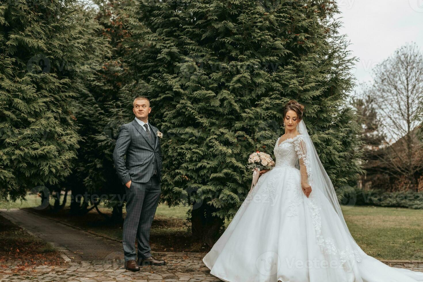 bruidegom en bruid wandelen en Holding handen in de park tussen hoog groen bomen. wijde hoek herfst foto. omvangrijk bruiloft jurk. klassiek pak van de bruidegom foto