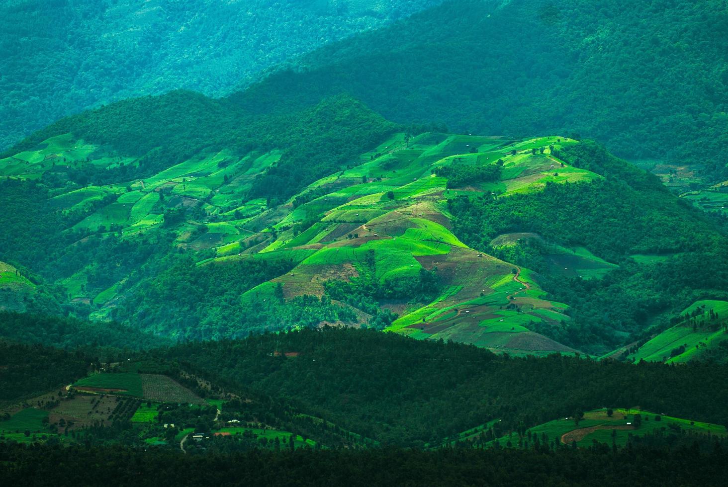 prachtig bergenlandschap foto