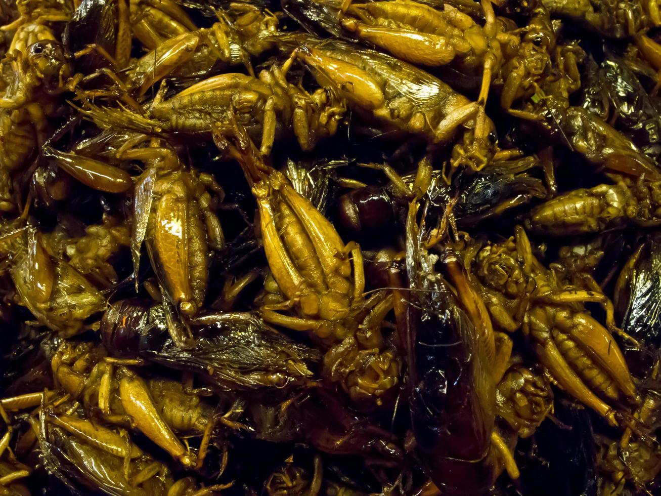 Krokant gebakken insecten zijn regionale delicatessen in veel Aziatische landen zoals Thailand foto