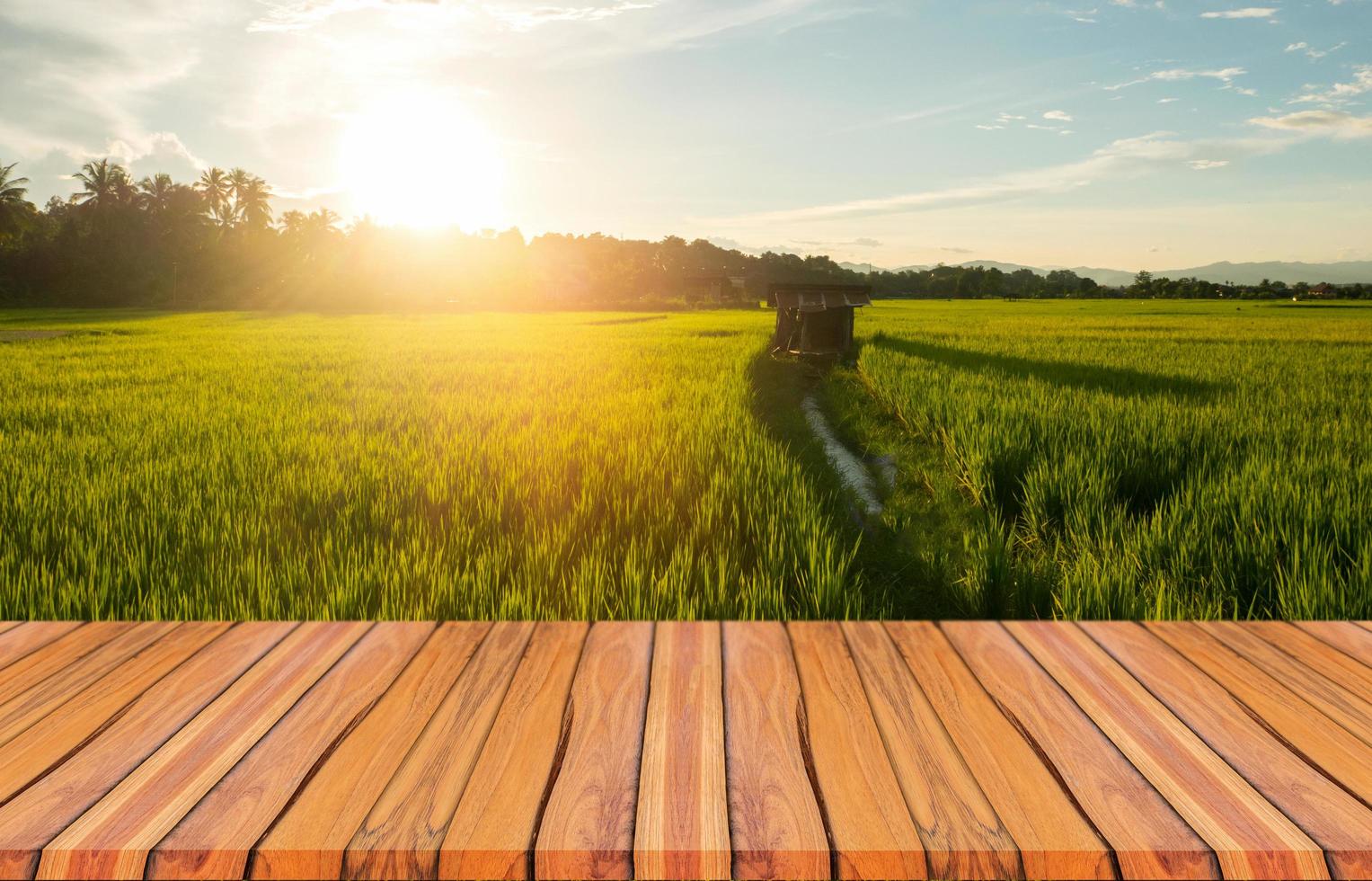 houten planken en prachtige natuurlijke landschappen van groene rijstvelden in regenseizoen en zonsondergang. foto