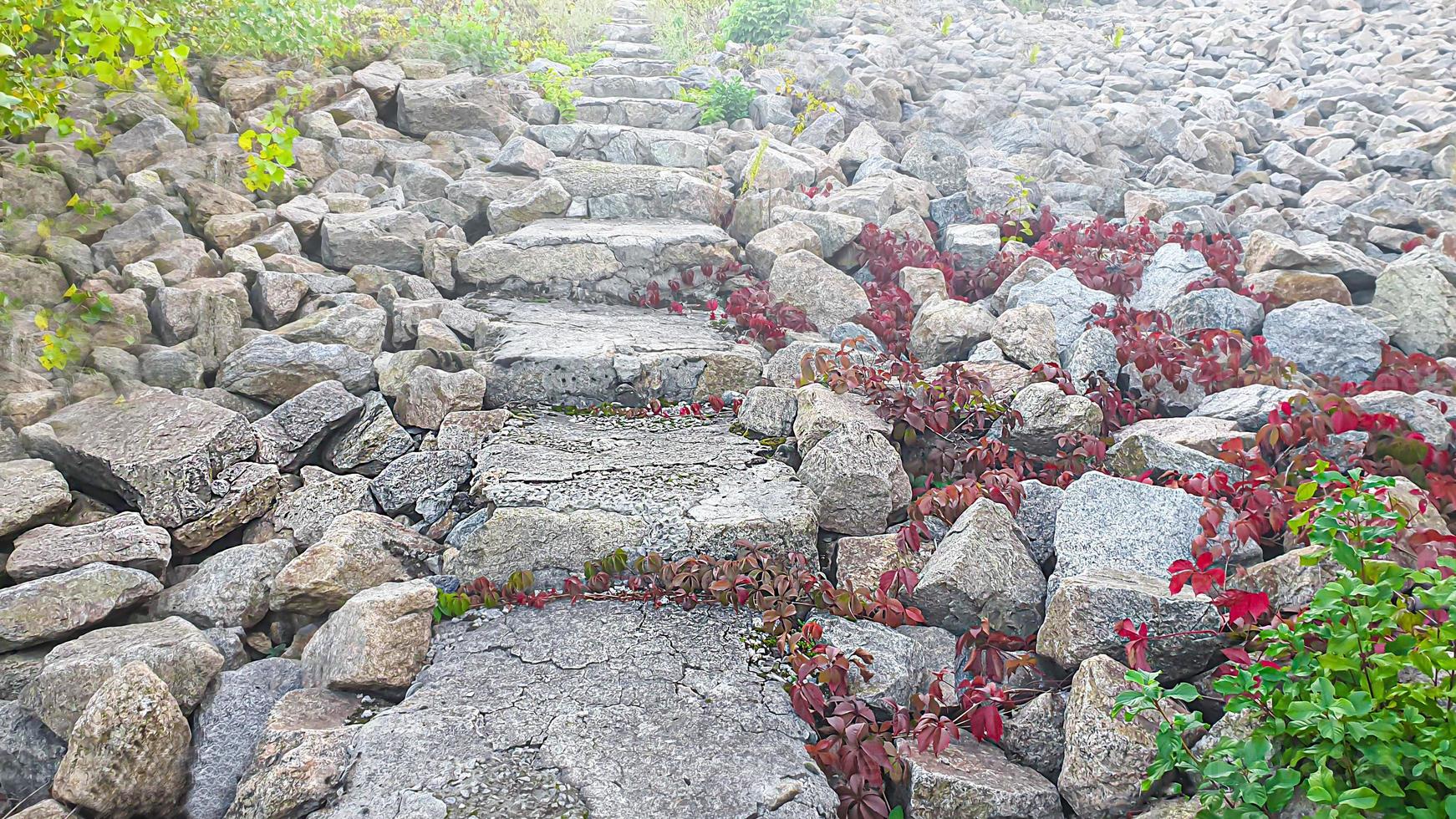 stenen achtergrond met takken van planten. takken met groene bladeren. heuvel van graniet. foto