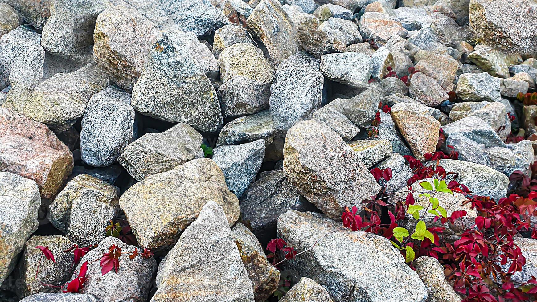 stenen achtergrond met takken van planten. takken met groene bladeren. heuvel van graniet. foto