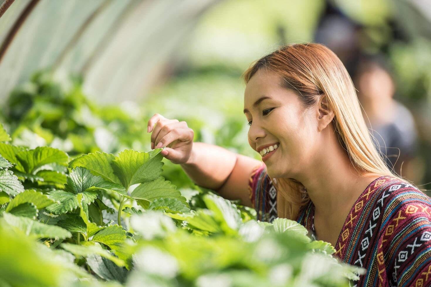 mooie boerenvrouw die aardbeienboerderij controleert foto