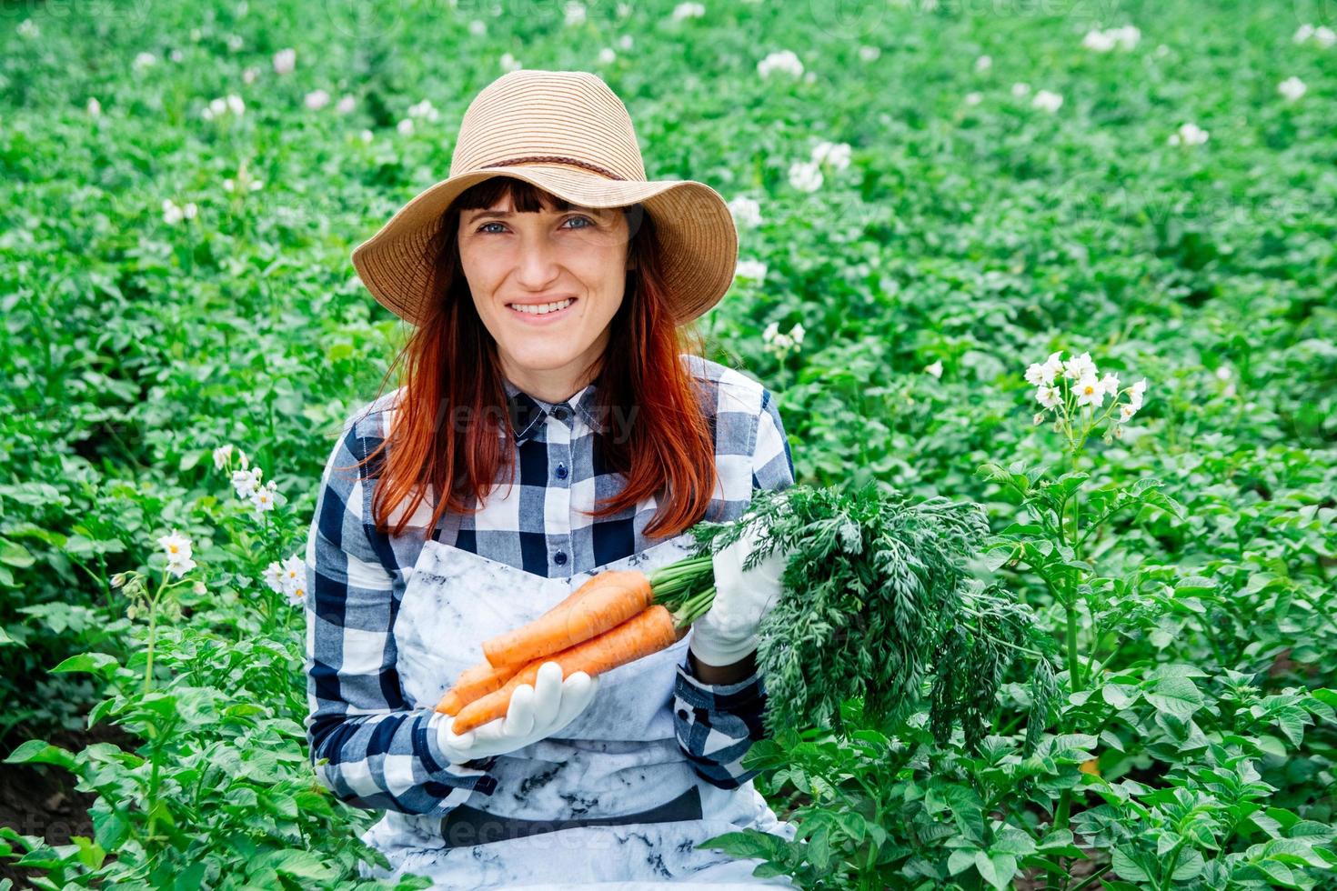 boerin houdt een bos wortelen in haar moestuin foto