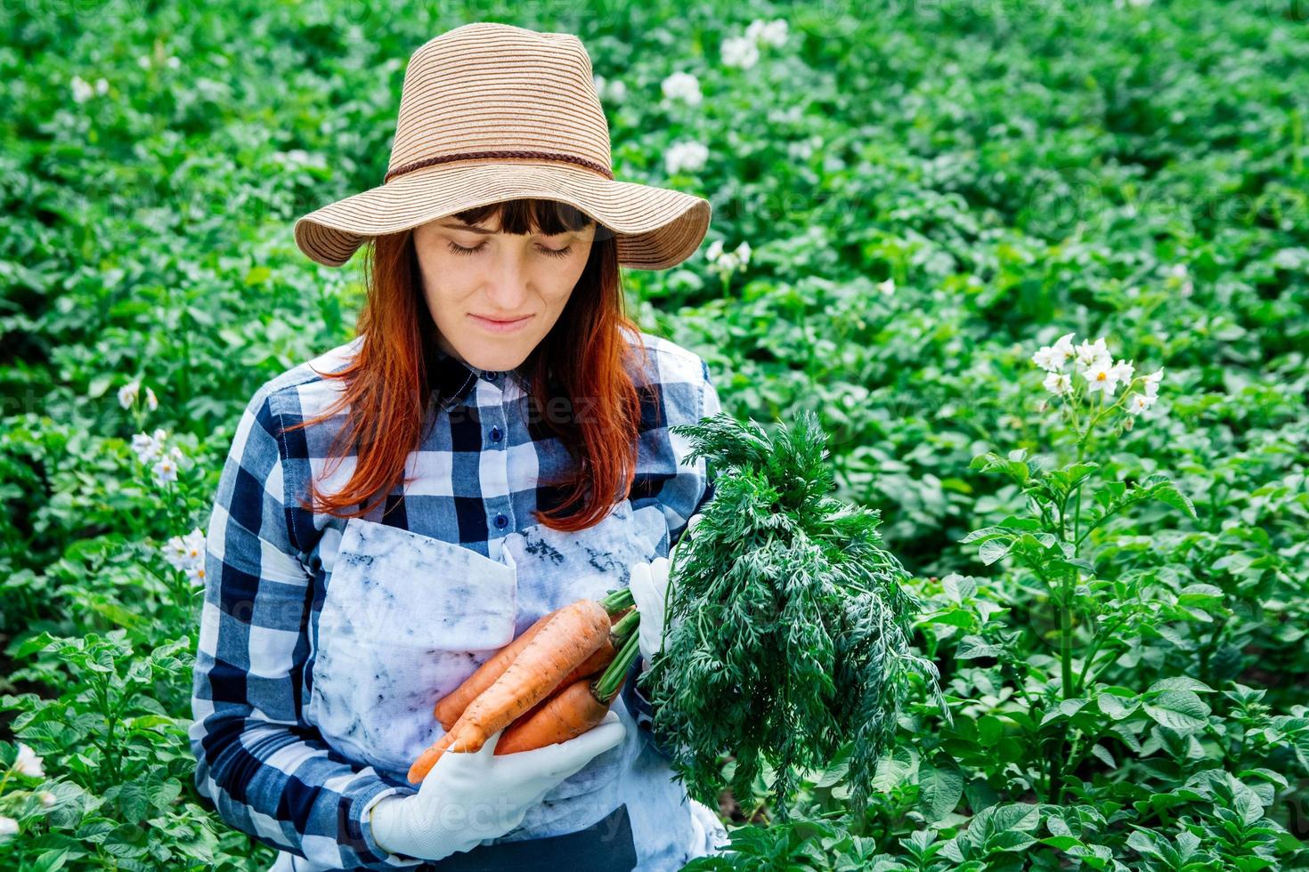 vrouw boer houdt een bos wortelen op achtergrond moestuin foto