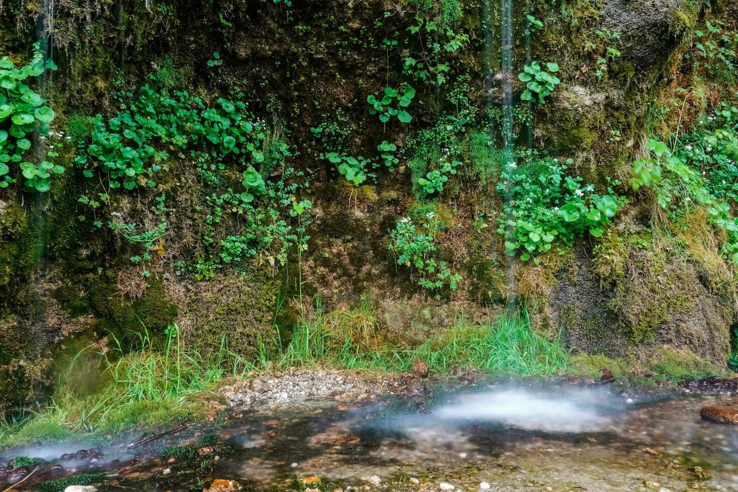 wit geatomiseerd water van druipend water door overhangend conglomeraat genaamd rinnend mauer in een Ravijn foto