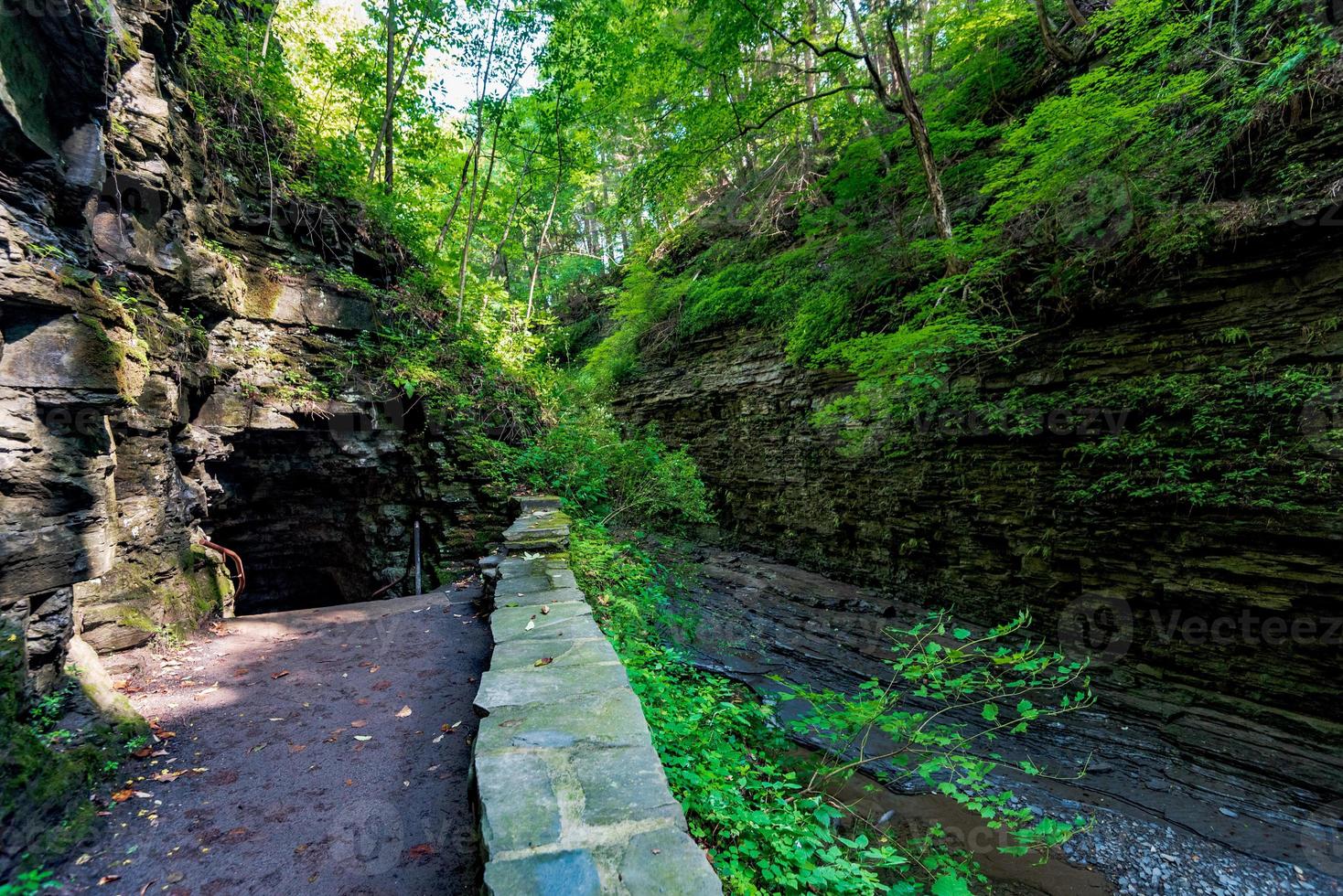 watkins Glen State Park foto