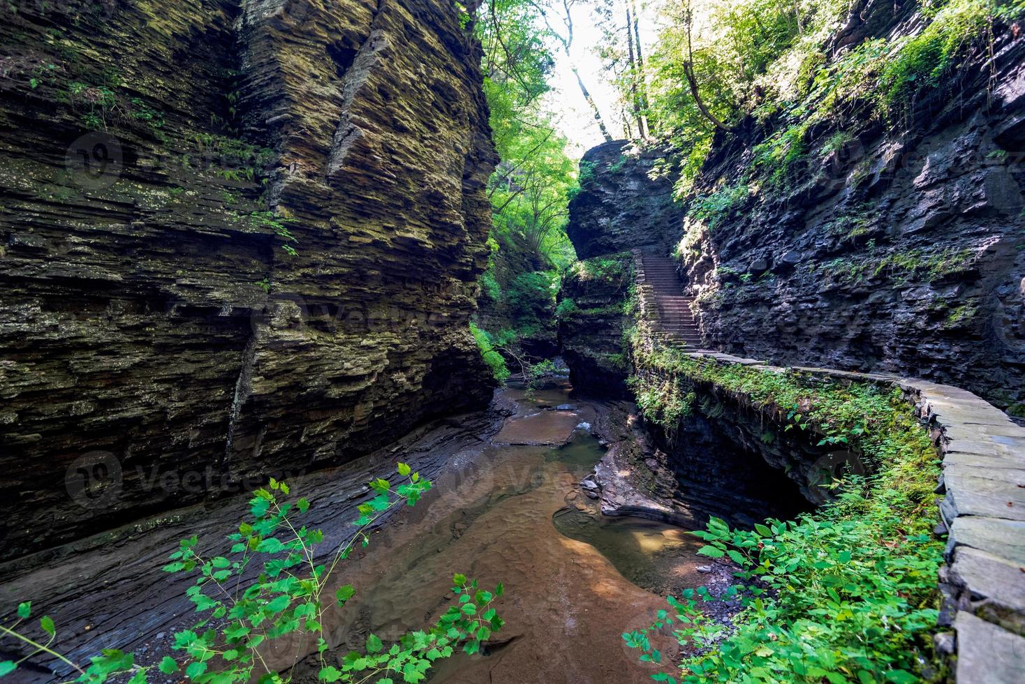 watkins Glen State Park foto