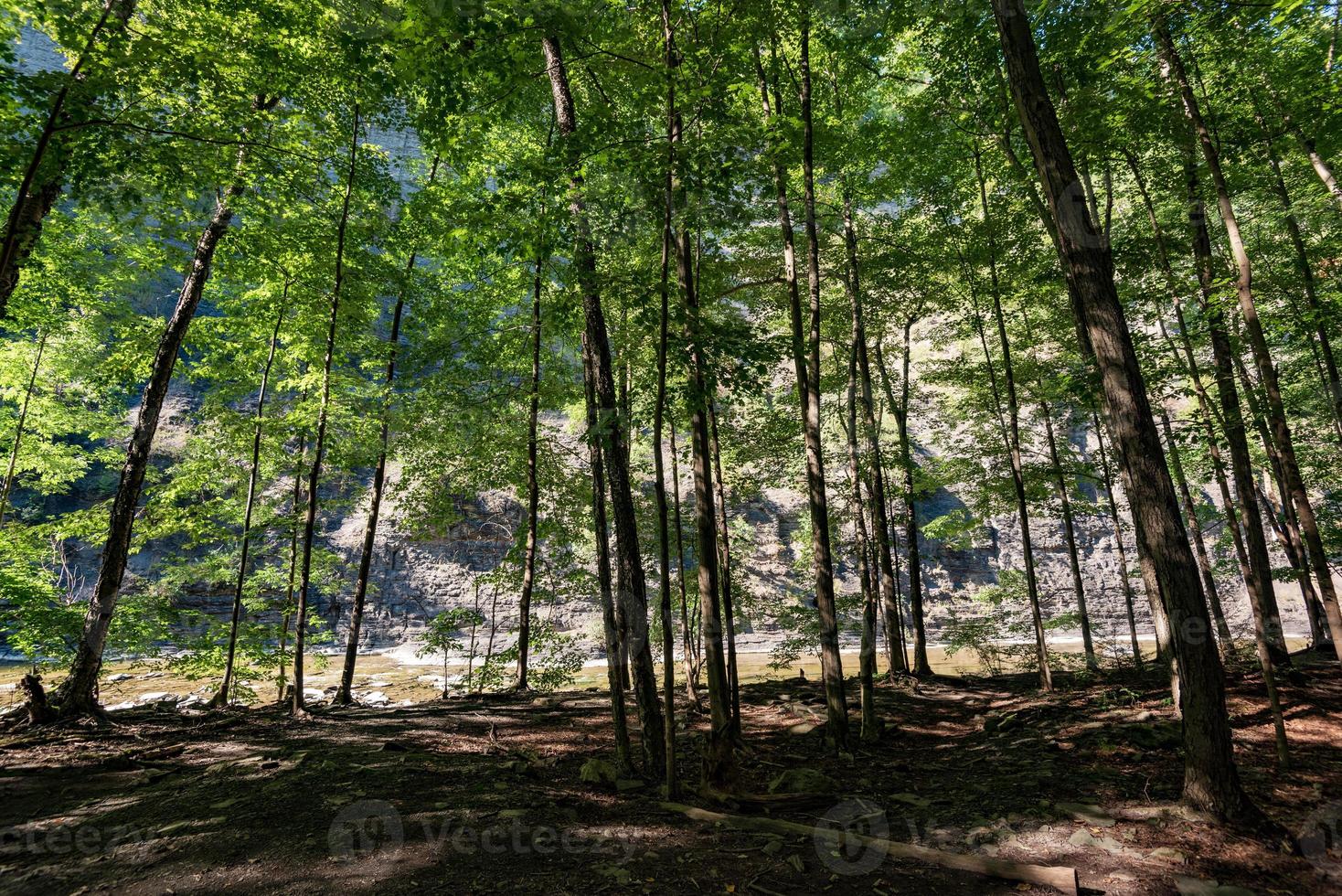 taughannock watervallen - kloofpad foto