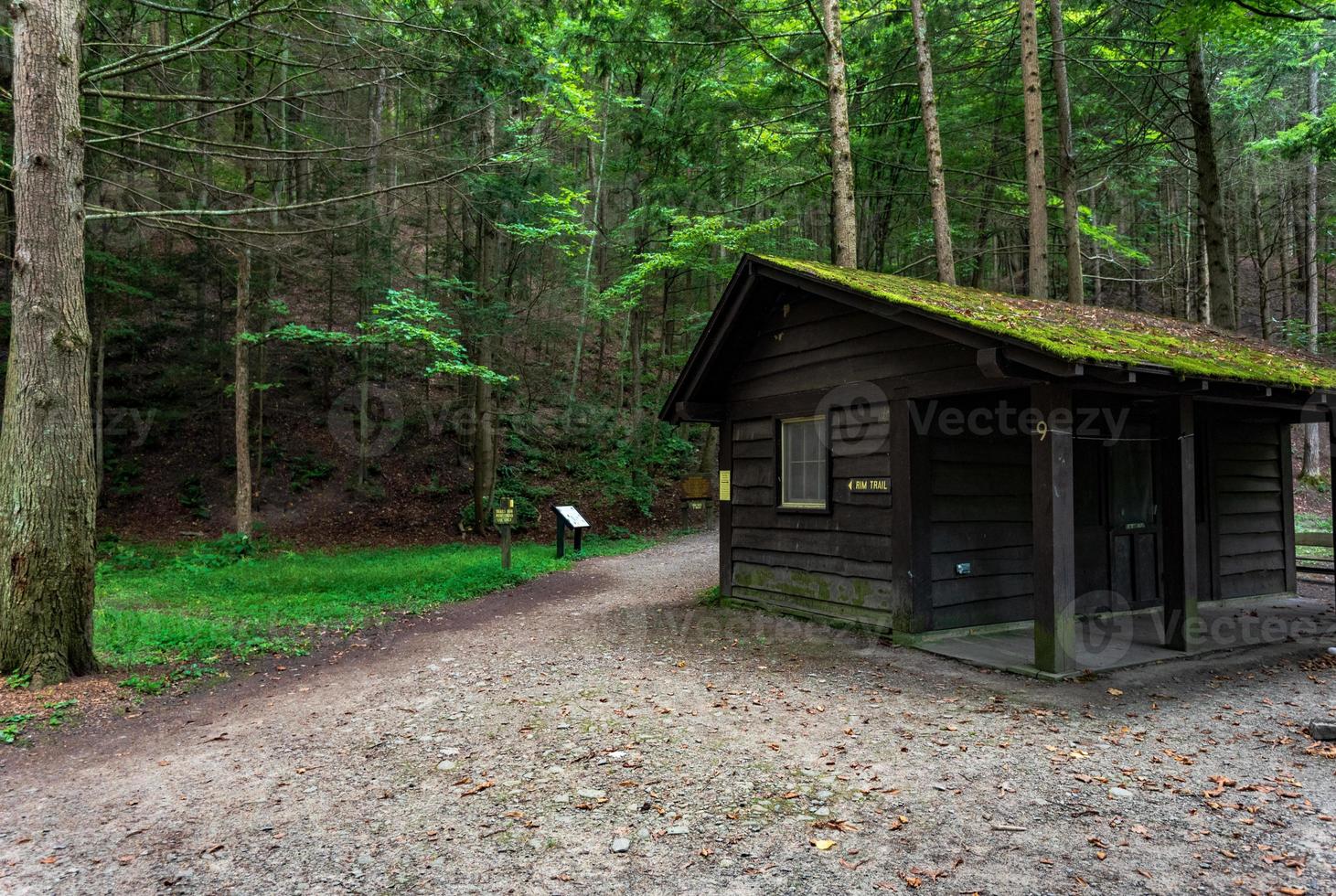 robert h. Treman State Park - hutten foto