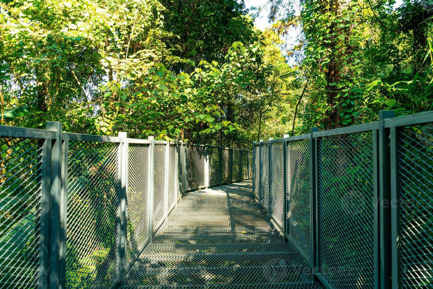 loop weg in het bos foto