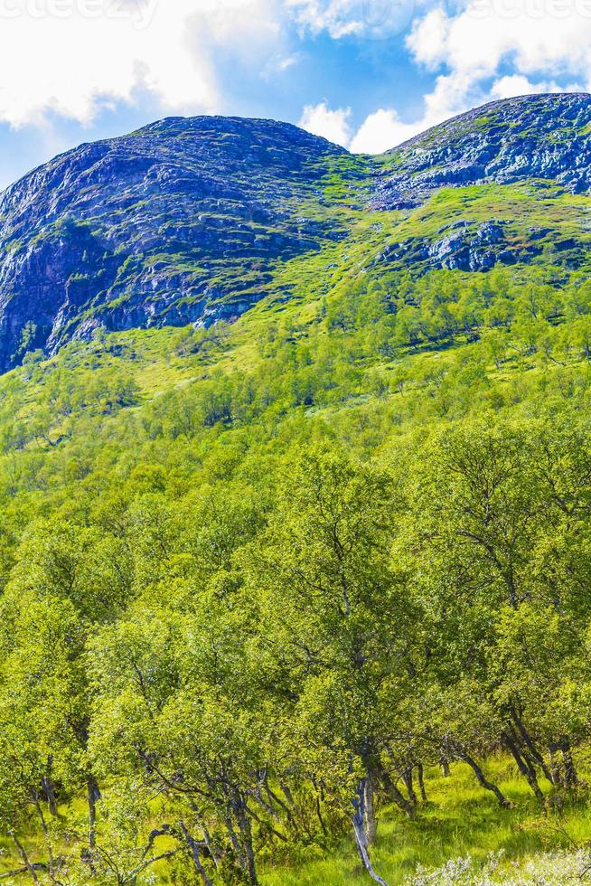 berg- en boslandschap panorama op zonnige dag vang noorwegen. foto