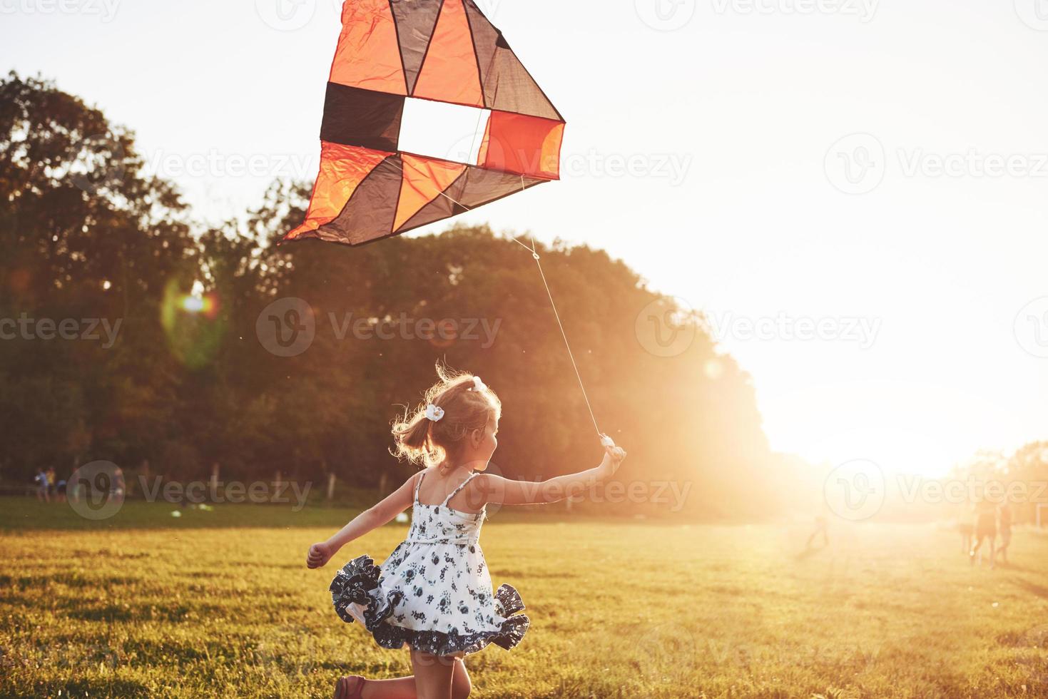 schattig klein meisje met lang haar met vlieger in het veld op zonnige zomerdag foto