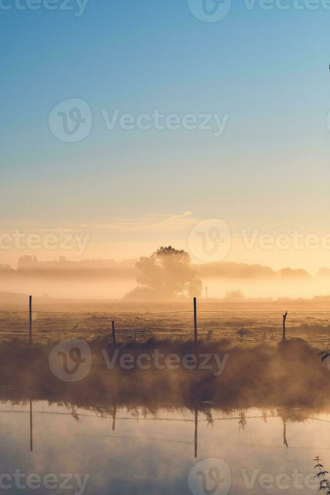 mistig ochtend- in de platteland van noordelijk Duitsland foto