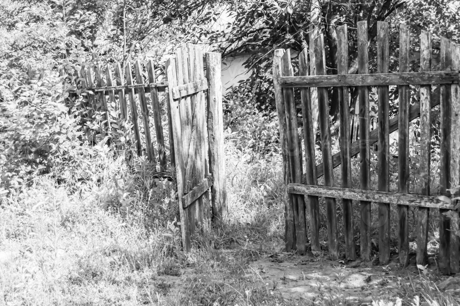 mooi oud poort van verlaten huis in dorp Aan natuurlijk achtergrond foto