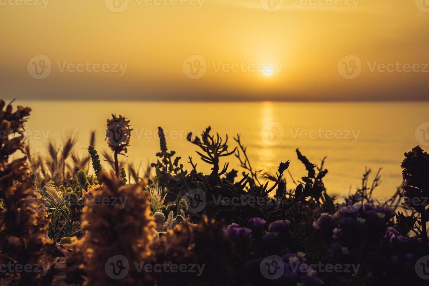 serene gouden zonsondergang over de zee met de wilde bloemen foto