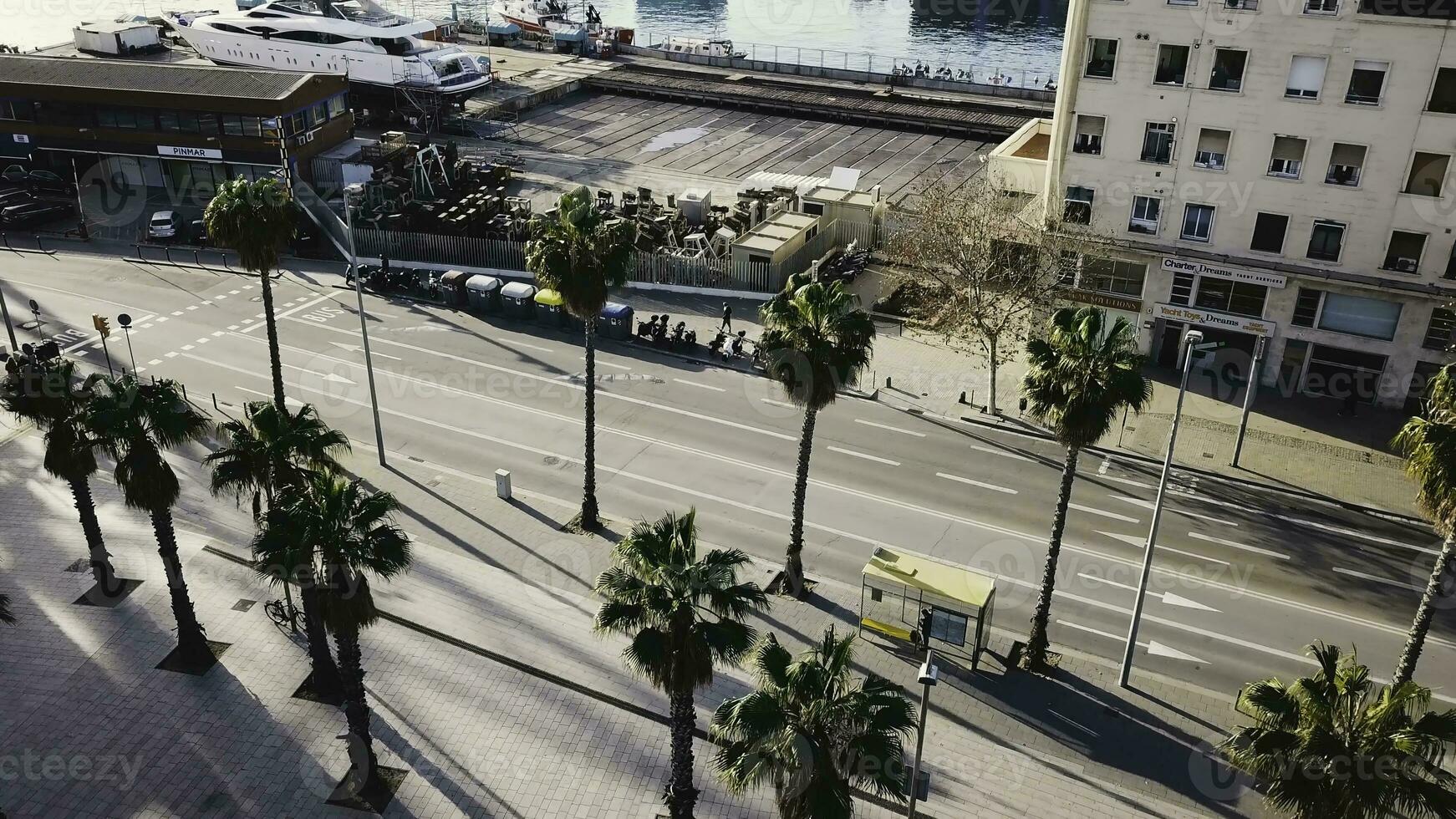 visie van een tropisch stad van de top van een palm boom. voorraad. top visie van de palm bomen in stad foto