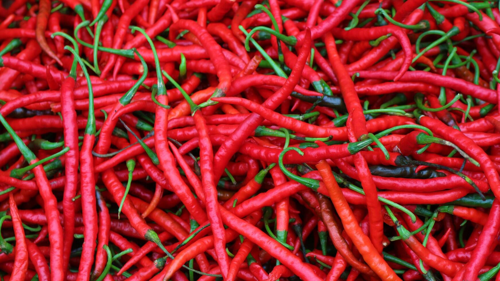 rijpe rode hete chili in de mand te koop in de Aziatische groentenmarkt foto