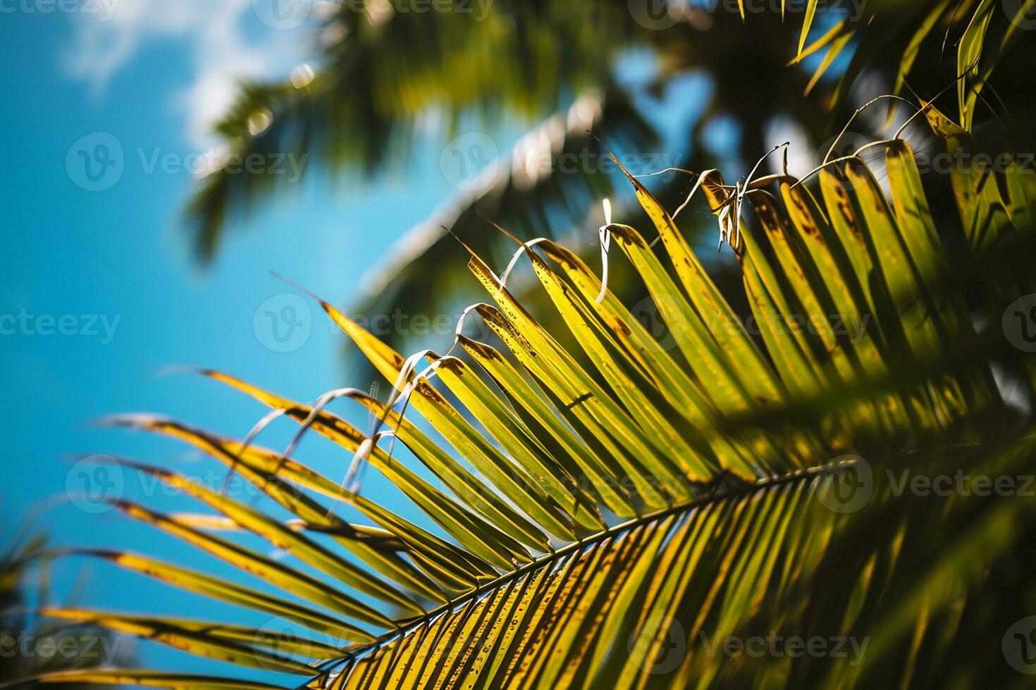 ai gegenereerd dichtbij omhoog van een palm boom blad met een blauw lucht in de achtergrond foto