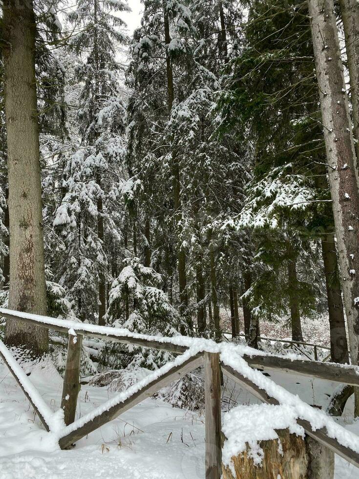 winter landschap met besneeuwd bergen en bomen verbazingwekkend winter achtergrond foto