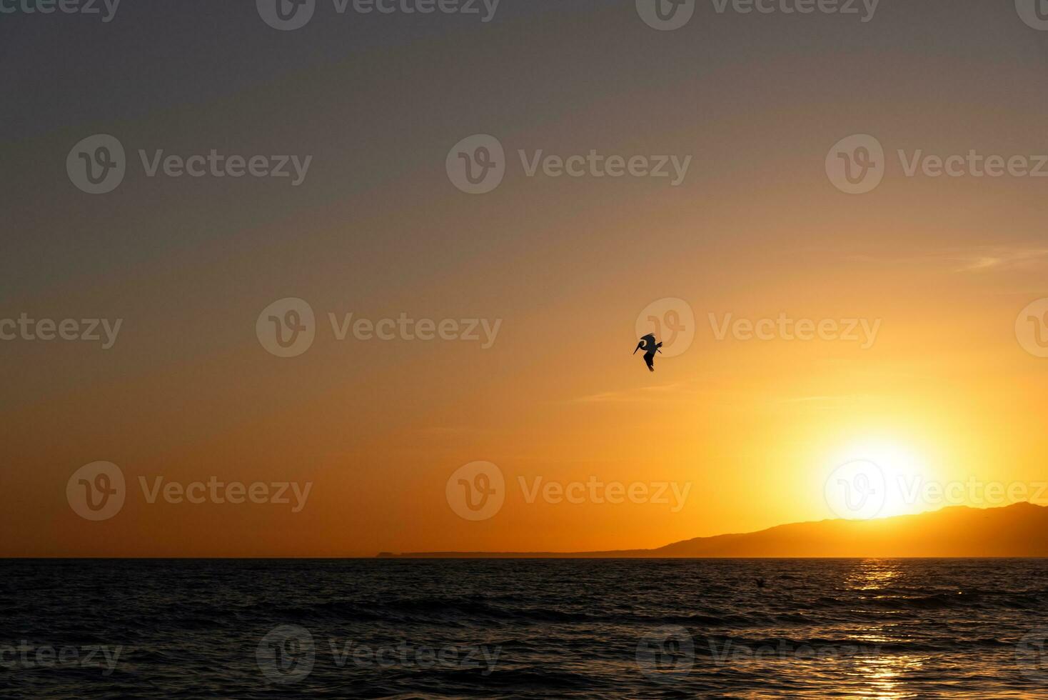 pelikan vliegend in de zonsondergang over- de oceaan strand foto