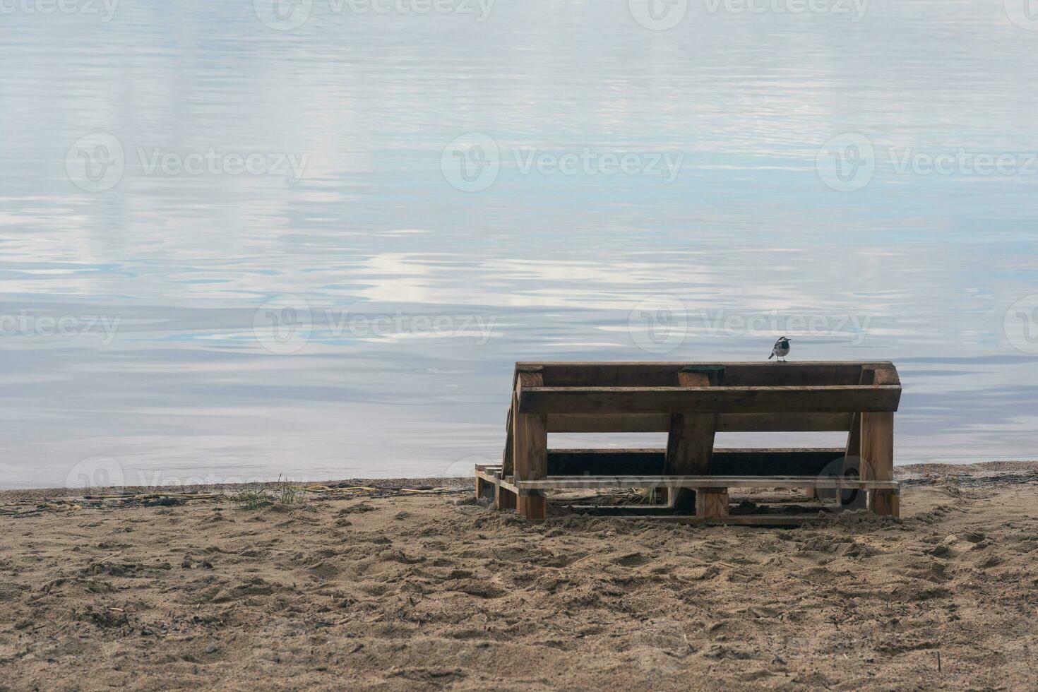 vogel zittend Aan een bank gemaakt van oud pallets Aan een zanderig kust van een enorm meer foto