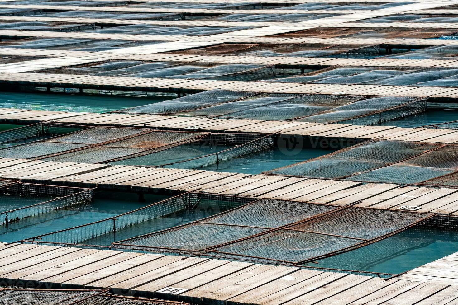 aquacultuur installaties met vis kooien Aan een vis boerderij foto