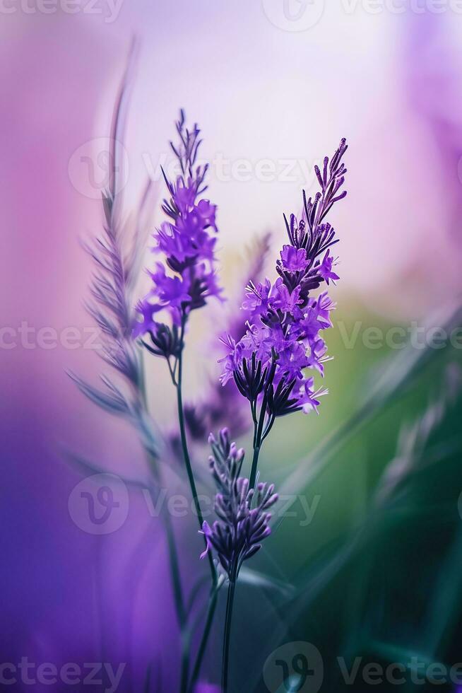 ai gegenereerd een dichtbij omhoog van een Purper bloem met wazig achtergrond foto