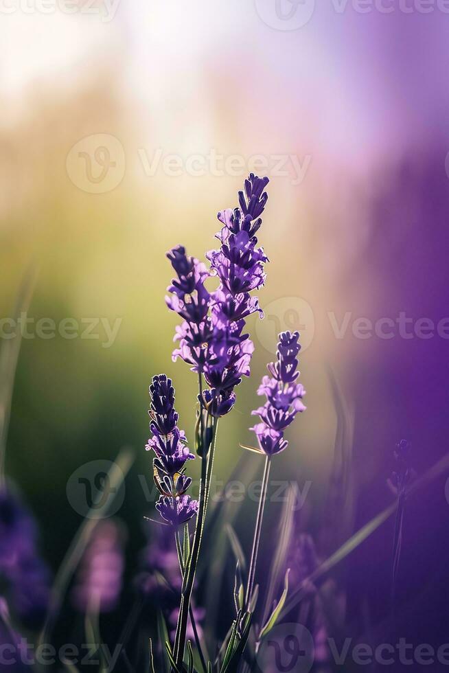 ai gegenereerd een dichtbij omhoog van een Purper bloem met wazig achtergrond foto