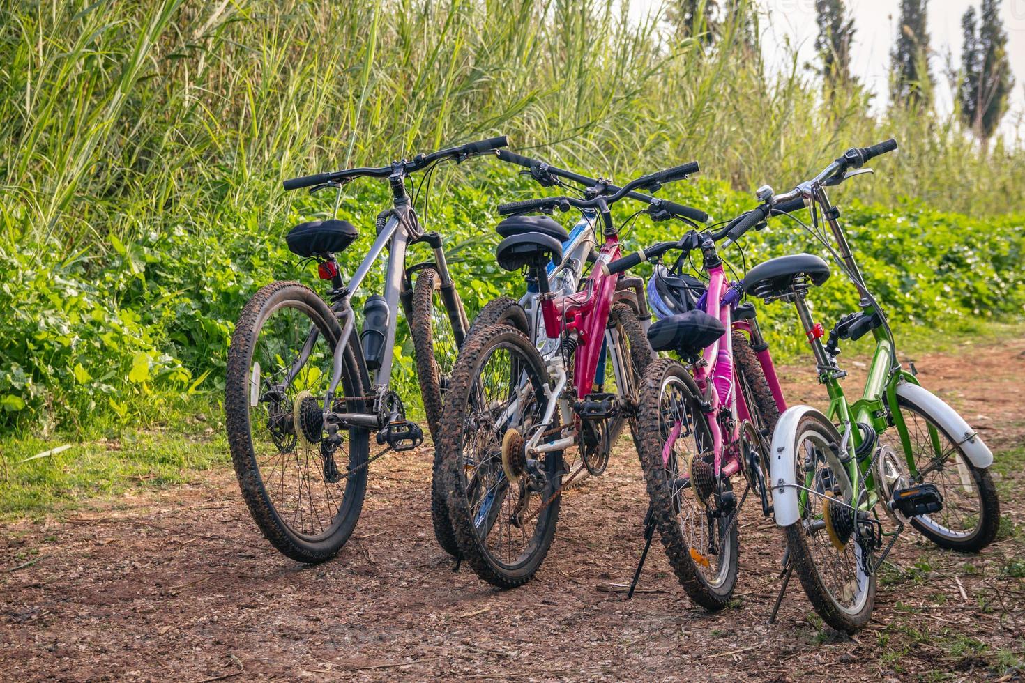 meerdere fietsen geparkeerd op een onverharde weg foto