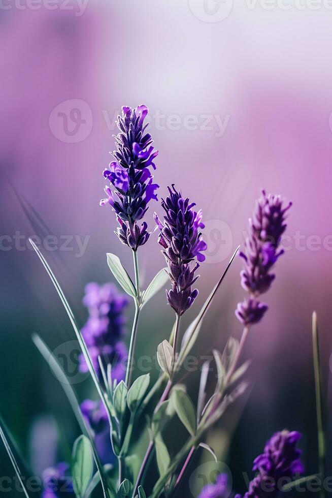 ai gegenereerd een dichtbij omhoog van een Purper bloem met wazig achtergrond foto