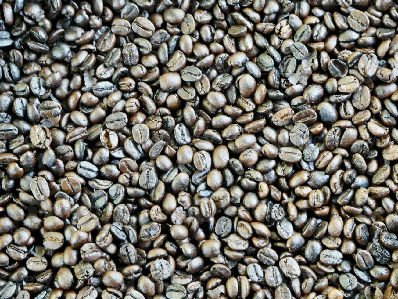 structuur van koffie bonen, bonen plakjes van groen bladeren. mooi licht, kracht van koffie bonen, tussen koffie struiken, geroosterd koffie bonen Aan oud houten tafel foto