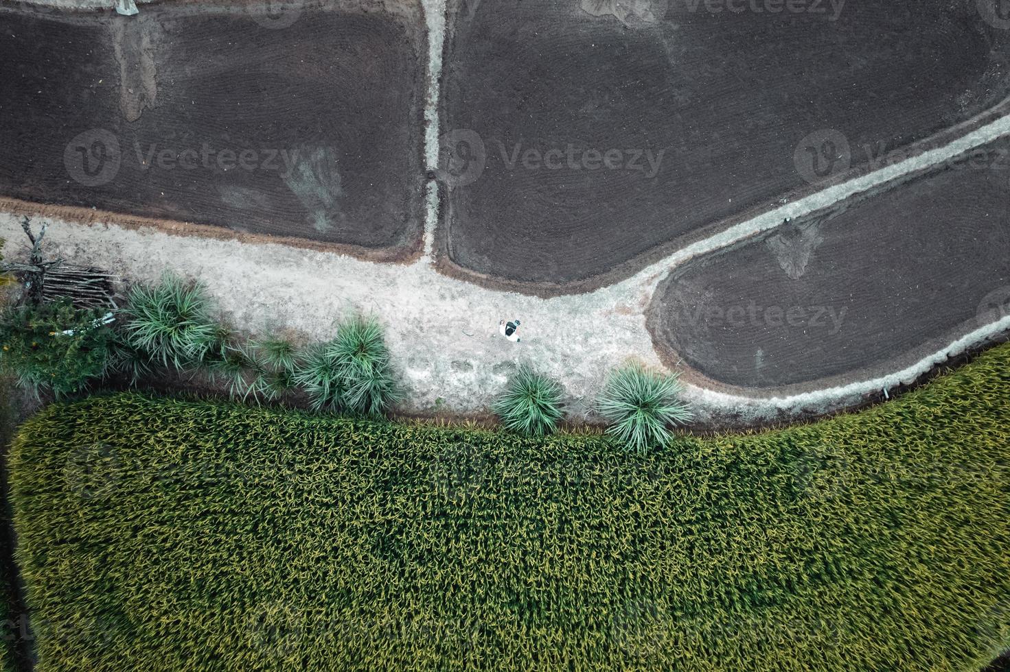 groene rijstvelden en landbouw vanuit een hoge hoek foto