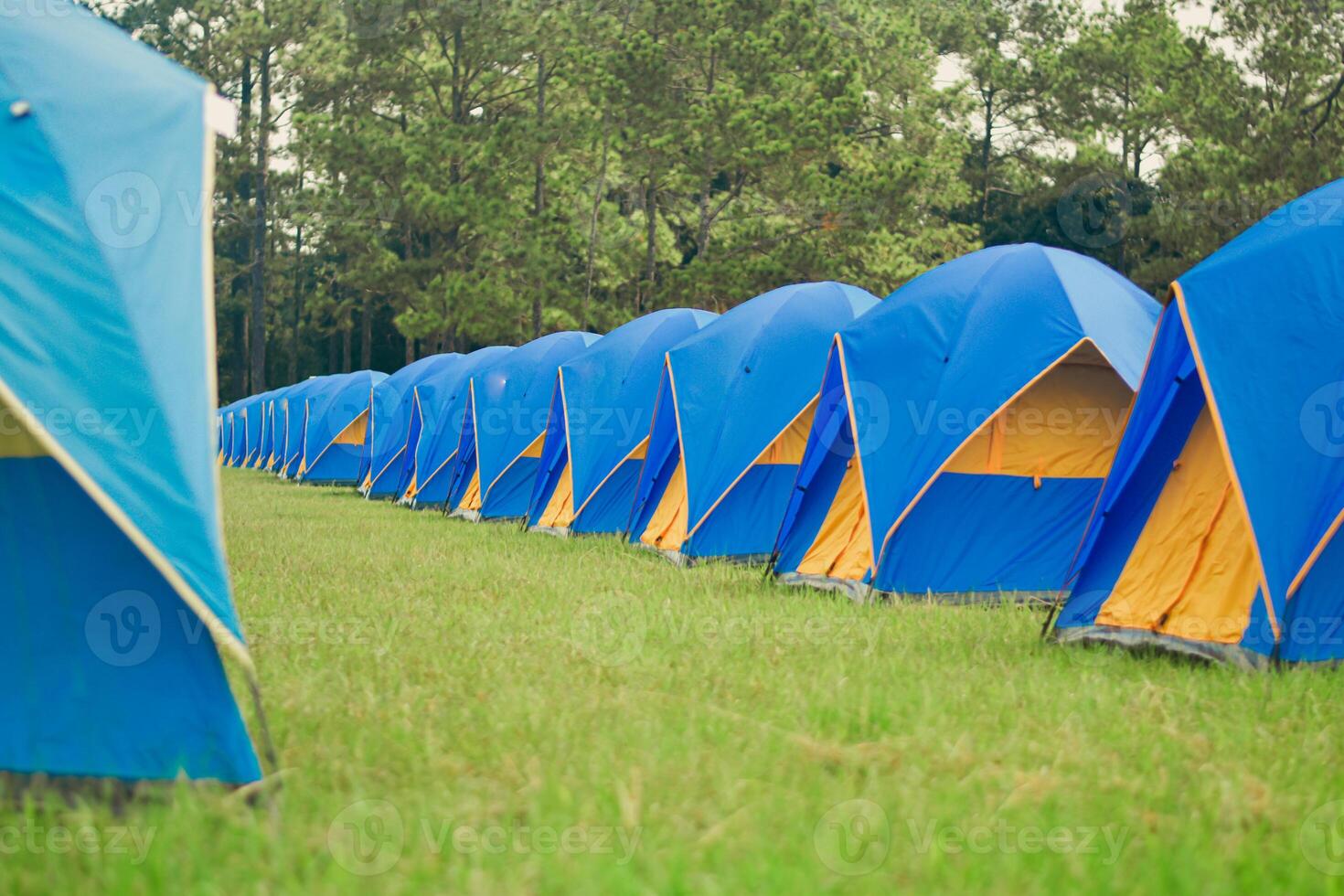 tent sites bekleed omhoog in lijnen, camping, toerist attracties, nationaal park tent plaatsen. foto