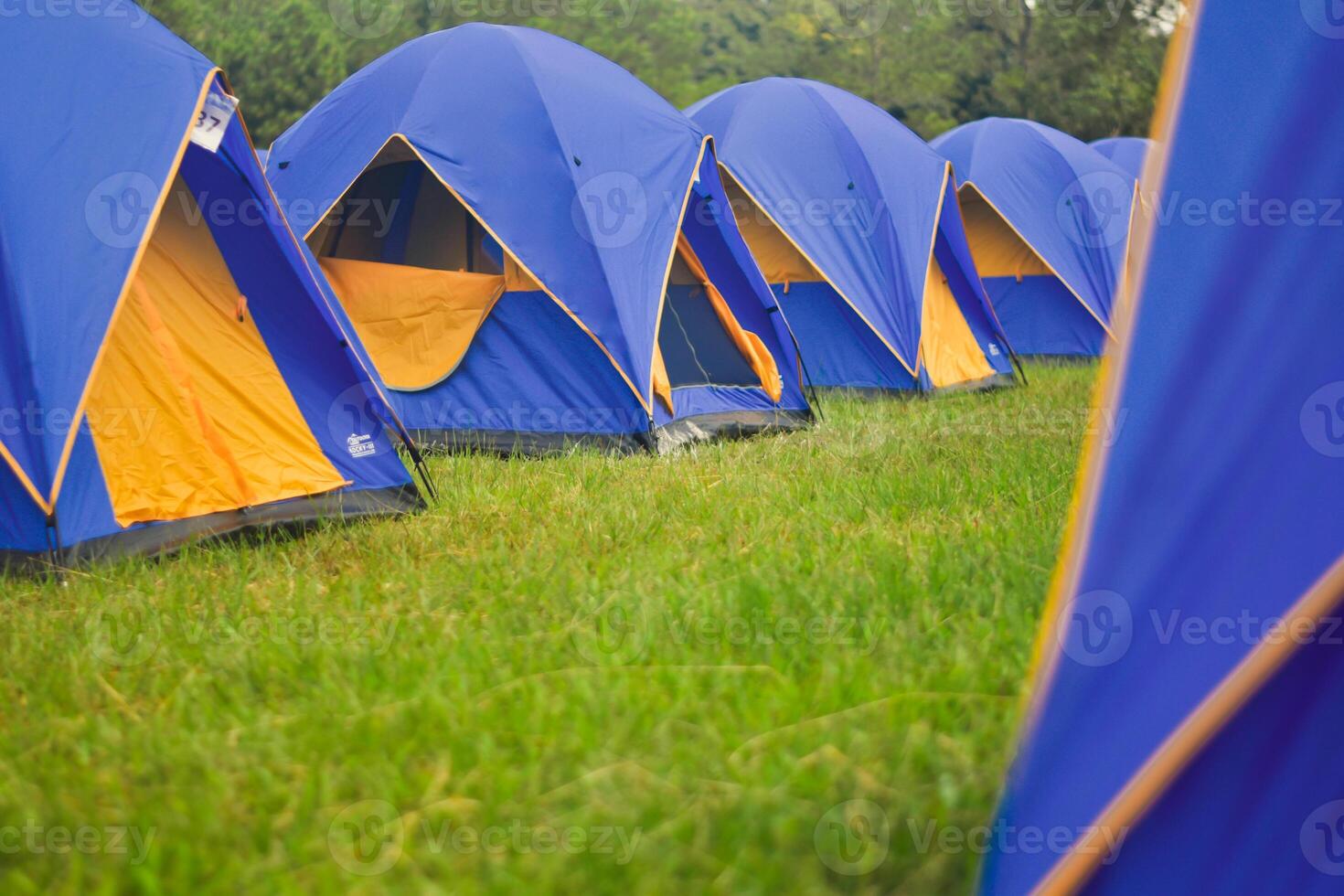 tent sites bekleed omhoog in lijnen, camping, toerist attracties, nationaal park tent plaatsen. foto