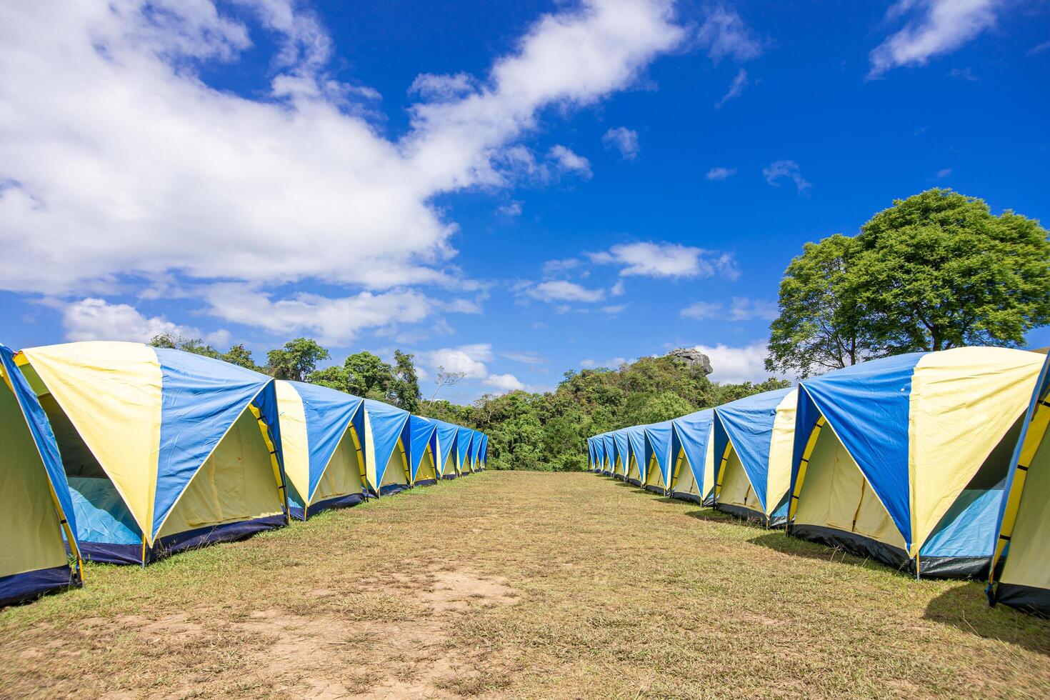 tent voor toeristen in berg tent toonhoogte Aan de gazon kom tot rust Oppervlakte in vakantie Bij doi zelfder dao, nan Thailand foto