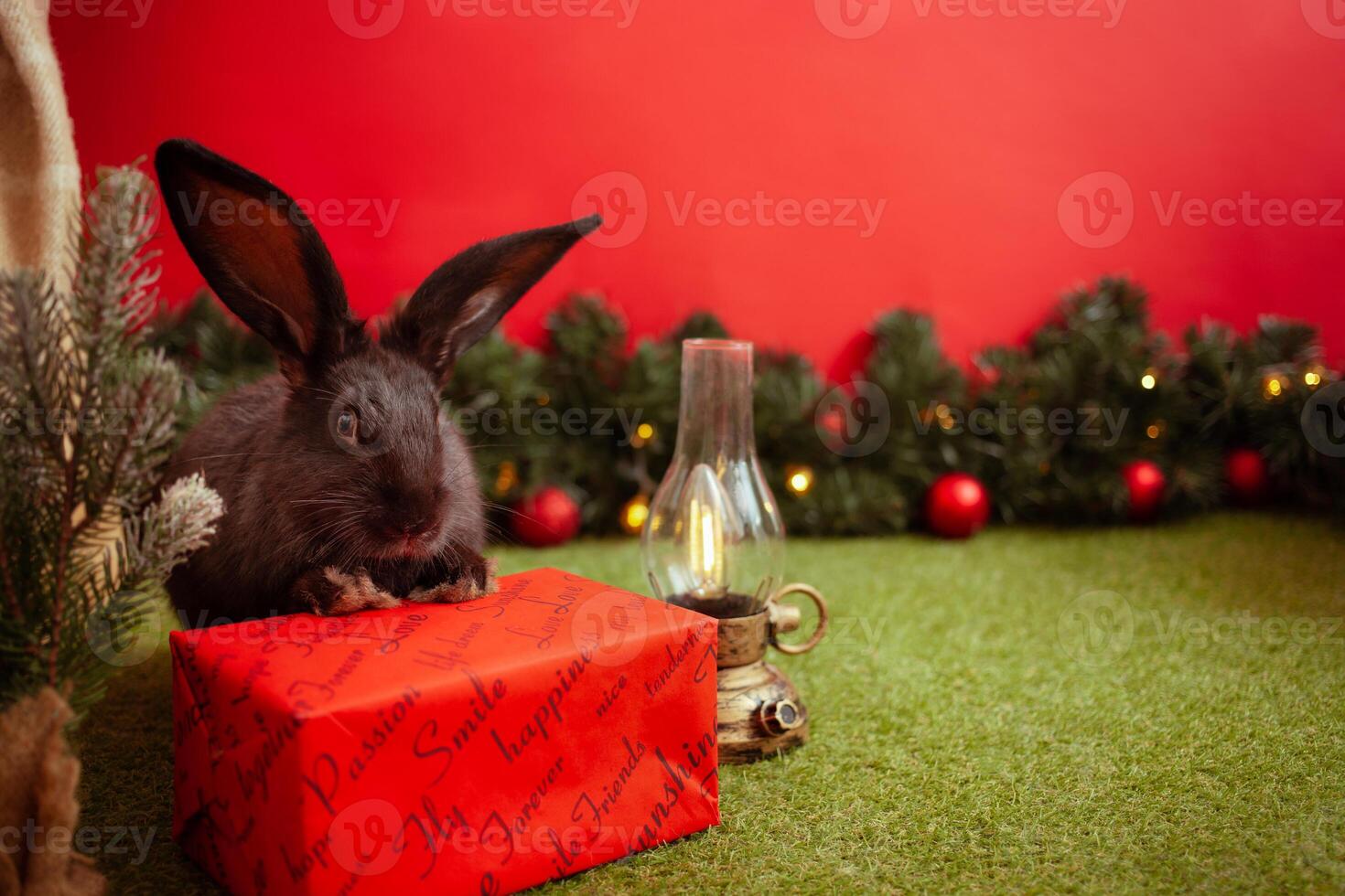 zwart konijn symbool 2023 Chinese kalender, nieuw jaar groet, Kerstmis kaart, kopiëren ruimte voor tekst, rood achtergrond. mooi haas Aan banier, versierd Kerstmis boom. lamp. foto