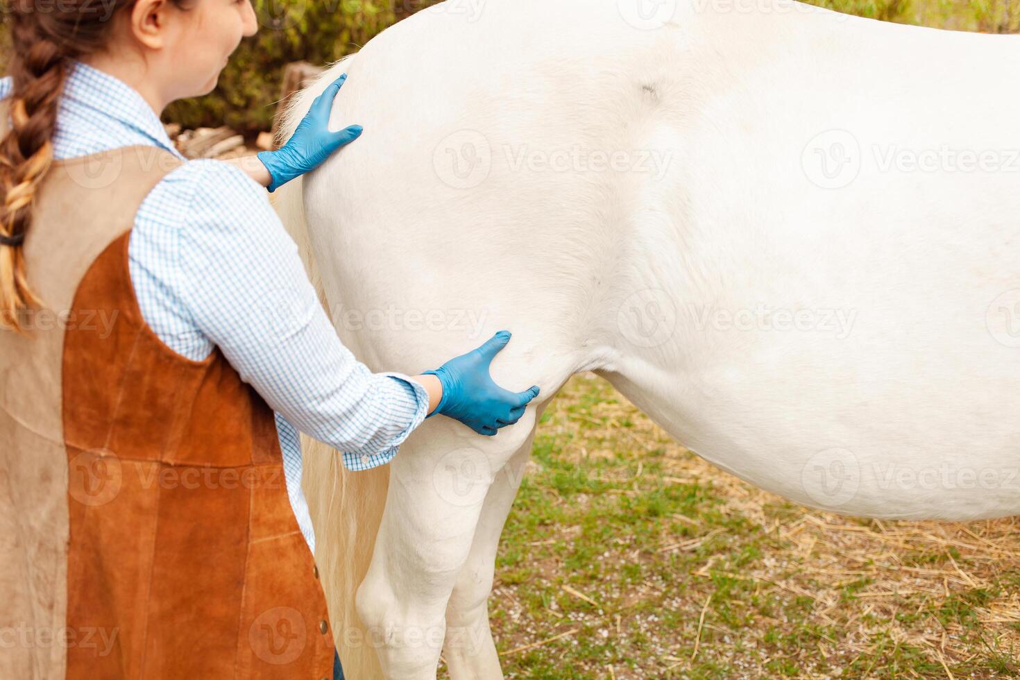 liefde, zorg voor dieren. natuur, voorjaar foto