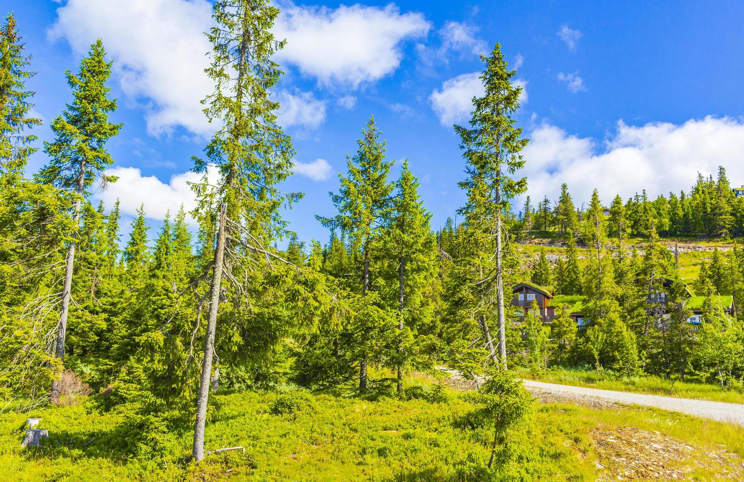 mooie panorama huisjes hutten bergen kvitfjell skigebied favang noorwegen. foto