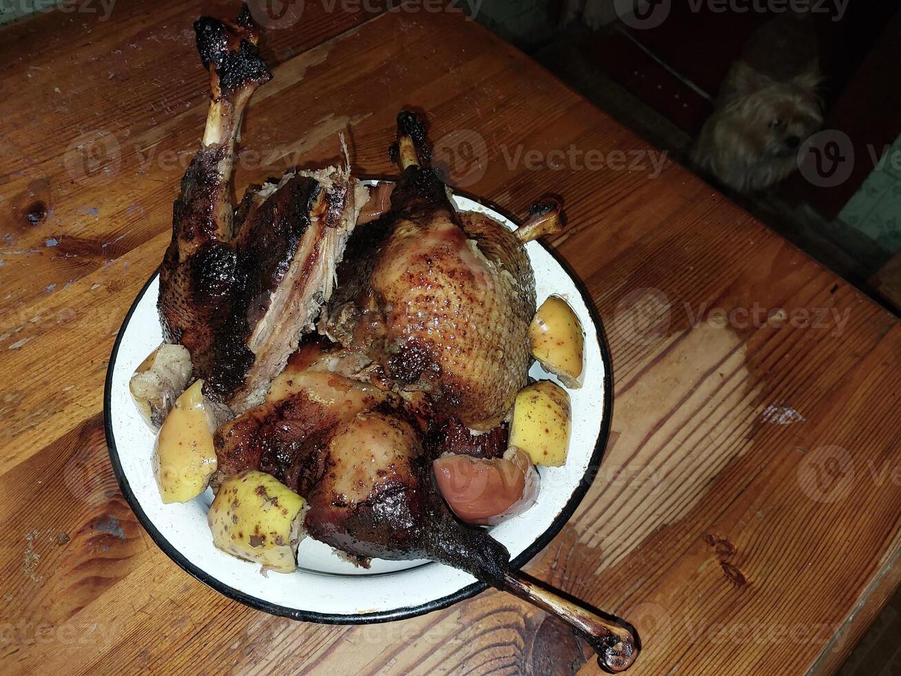 gans vogel gebakken in de oven voor Kerstmis foto